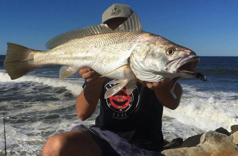 Working walls and headlands for jewies - Addict Tackle