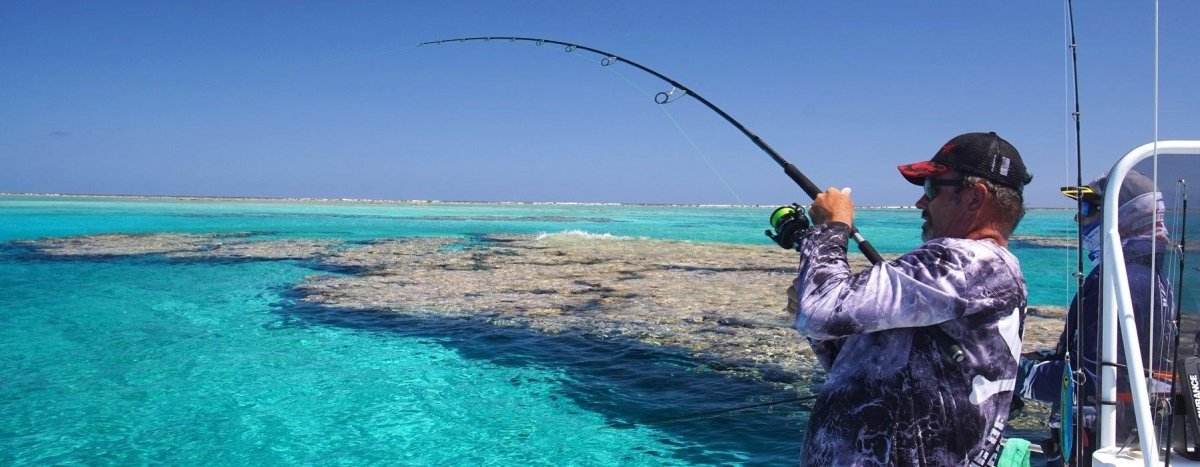 Addict Tackle Topwater