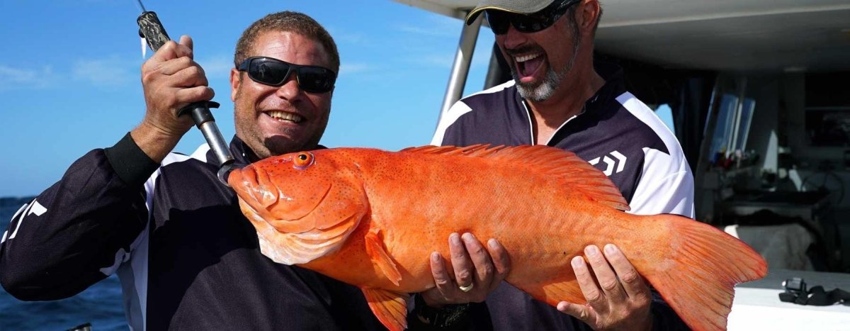All Accessories - Addict Tackle