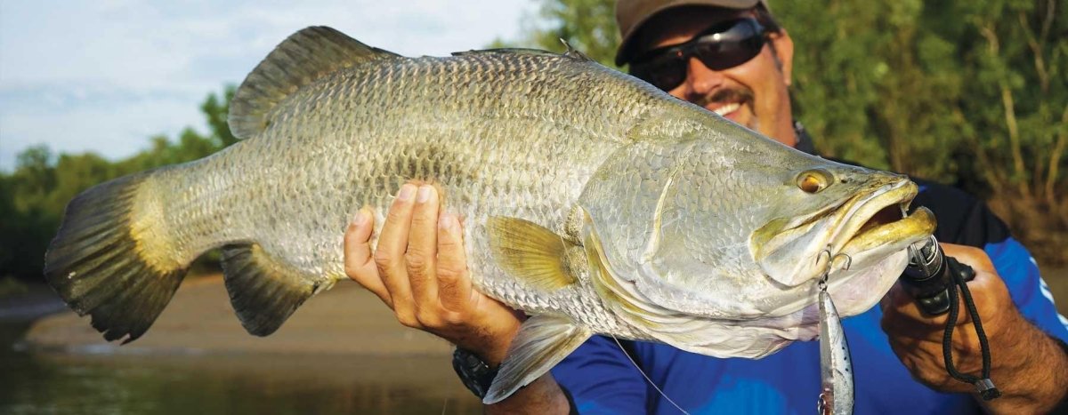 All Lures - Addict Tackle