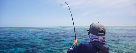 All Topwater Rods - Addict Tackle