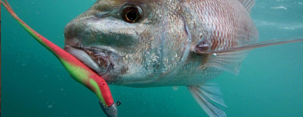 Berkley Gulp - Addict Tackle