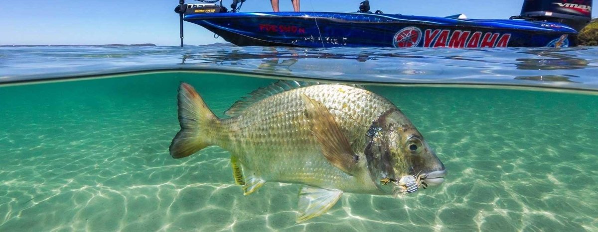 Cranka Lures - Addict Tackle