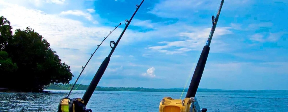 Game Rods - Addict Tackle