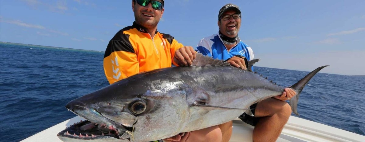Jigging Lures - Addict Tackle