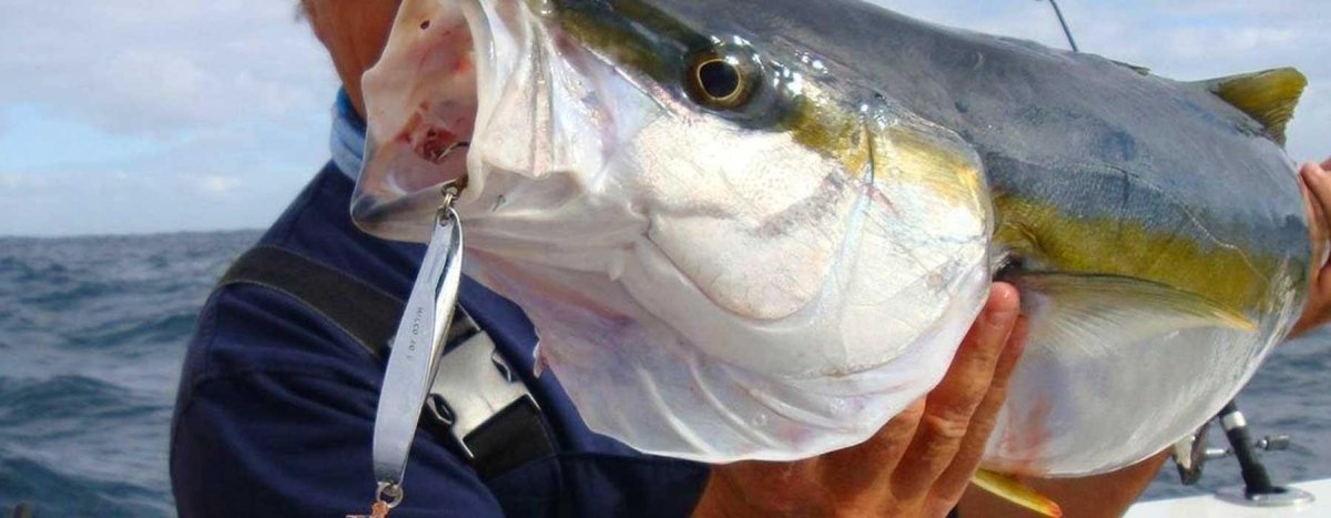 Metals & Slugs Lures - Addict Tackle