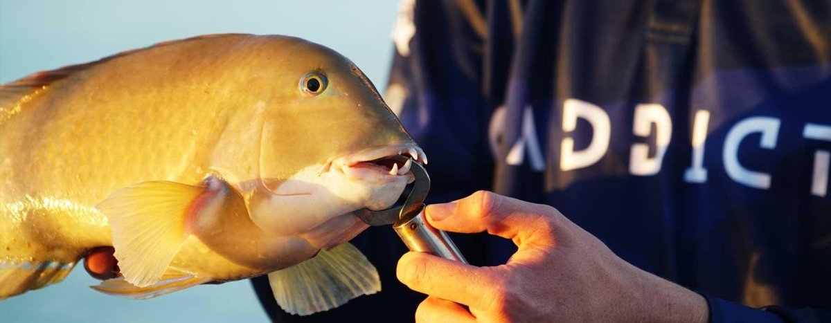 Other Accessories - Addict Tackle
