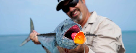 Popping Lures - Addict Tackle