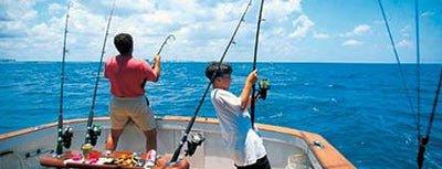 Reef / Inshore - Addict Tackle