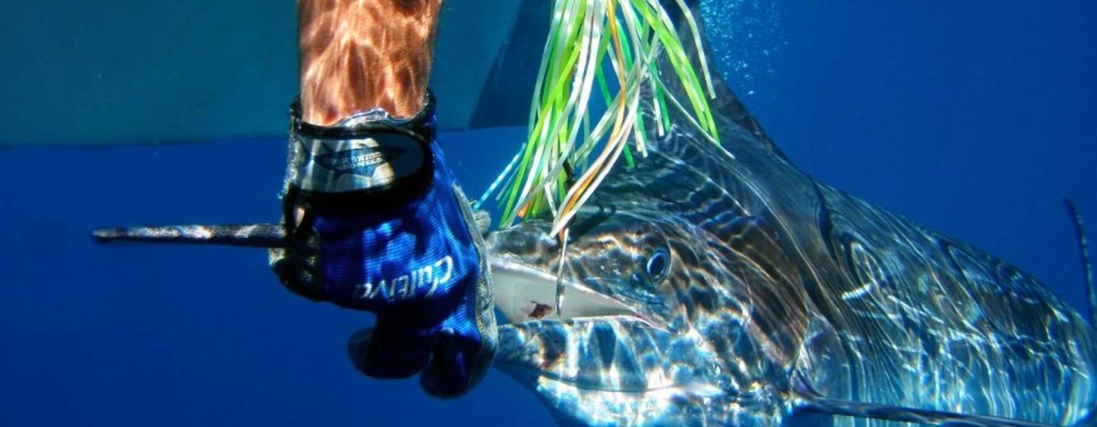 Richter - Addict Tackle