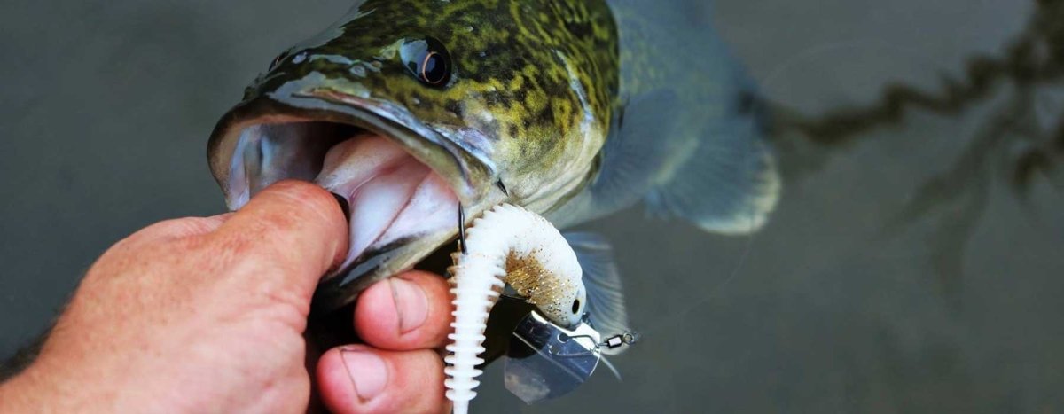 River2Sea - Addict Tackle