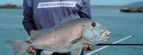 Soft Plastics - Addict Tackle