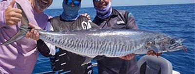 Spanish Mackerel - Addict Tackle