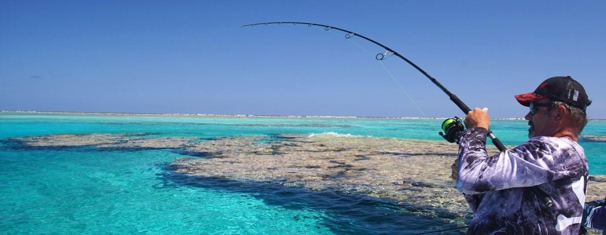 Topwater Braid & Leader