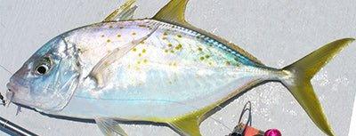 Trevally - Addict Tackle