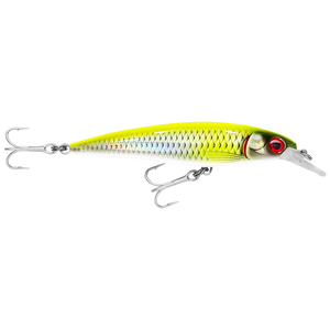 Rapala Xtreme SlashBait 10cm - SXR-10