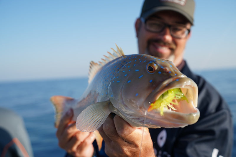 Bergie with Coral Trout