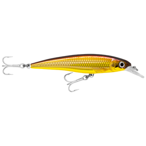 Rapala Xtreme SlashBait 10cm - SXR-10