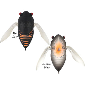 Atomic Hardz Cicada 35 Surface Walker