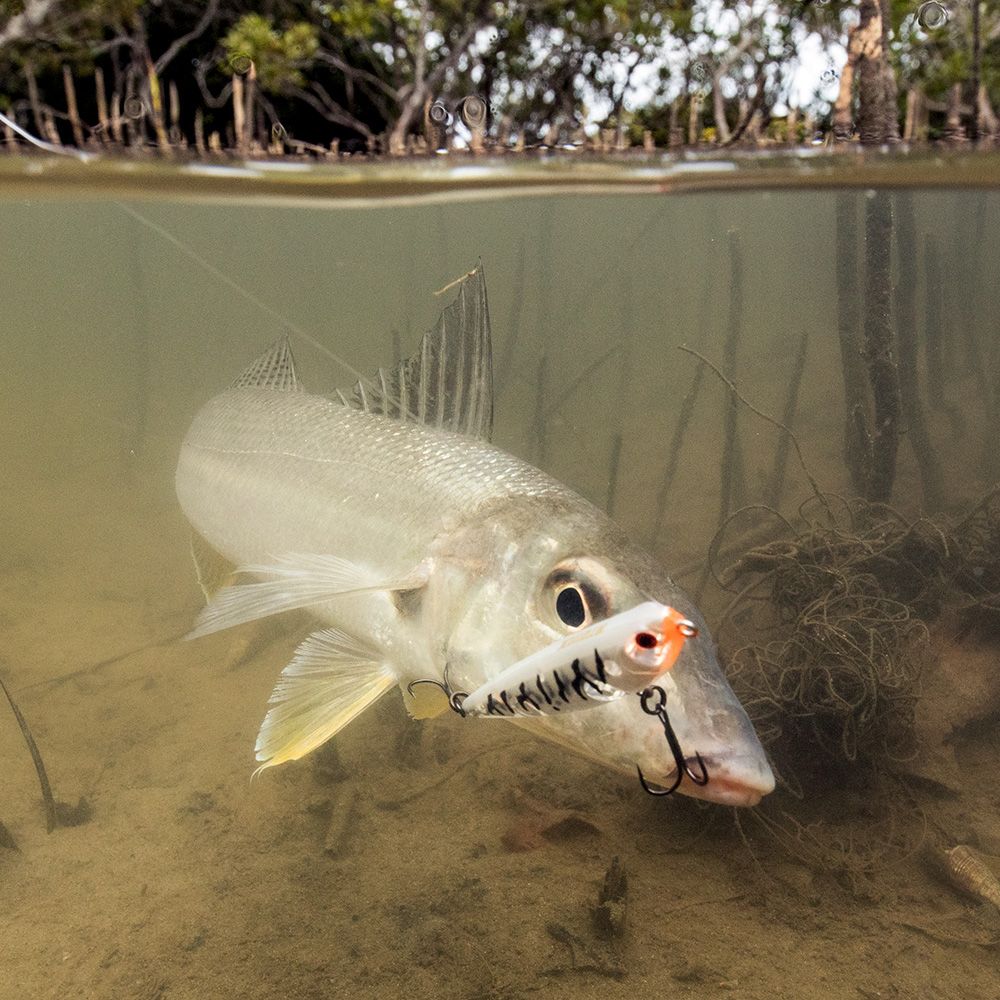 Atomic Hardz Walker 60mm Floating Surface Lure