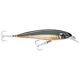 Rapala Xtreme Slashbait 10cm - Sxr-10