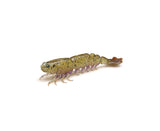 ZMan PrawnZ Elite Unrigged 3''