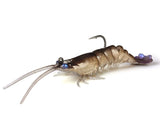 ZMan PrawnZ Elite Unrigged 6.5''