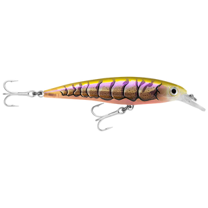 Rapala Xtreme SlashBait 10cm - SXR-10