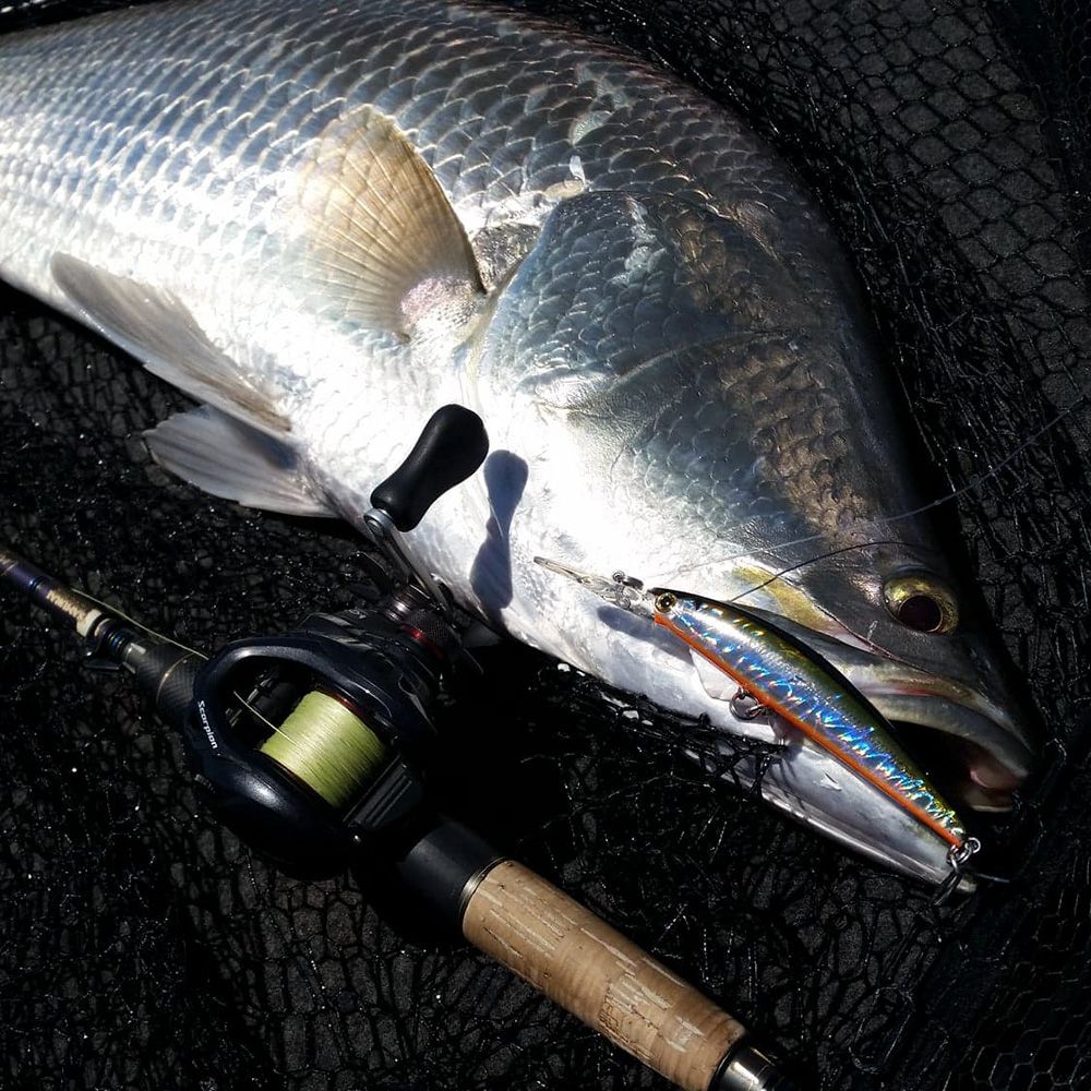 Bassday Sugar Deep 90mm Suspending Barra Tuned Lure