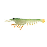 Nomad Design Live Ops Switcher Shrimp 4.25"