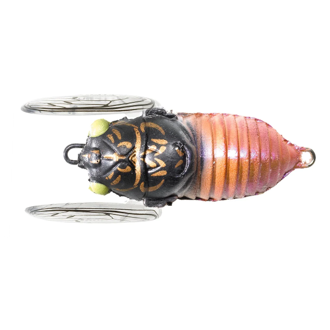 Tiemco Soft Shell Cicada Floating Hard Body Lure 40mm