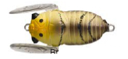 Tiemco Soft Shell Cicada Floating Hard Body Lure 40mm