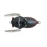 Tiemco Soft Shell Cicada Floating Hard Body Lure 40mm