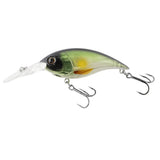 Berkley pro Tech Money Badger 50mm - Addict Tackle