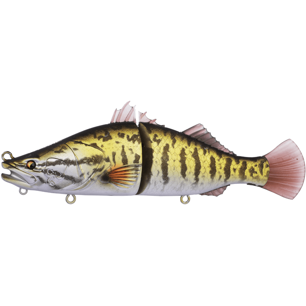 Bone Espybarra 176F Glide Bait Lure - Addict Tackle
