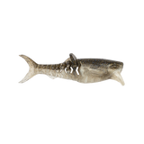 Rapala Crush City Infiltrator 3" Soft Plastic