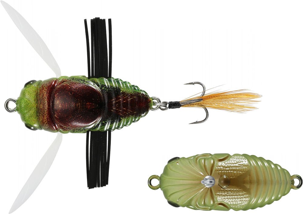 Duo Realis Shinmushi Cicada 40mm Fishing Lure - Addict Tackle