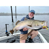 Live Fibre Venom Target Baitcast Rods