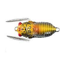 Tiemco Soft Shell Cicada Floating Hard Body Lure 40mm