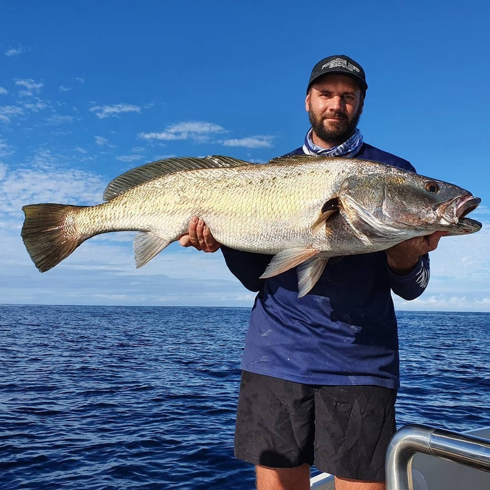 Live Fibre Spin fishing Rods