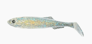 Molix RT Shad Soft Plastic 5.5in - Addict Tackle
