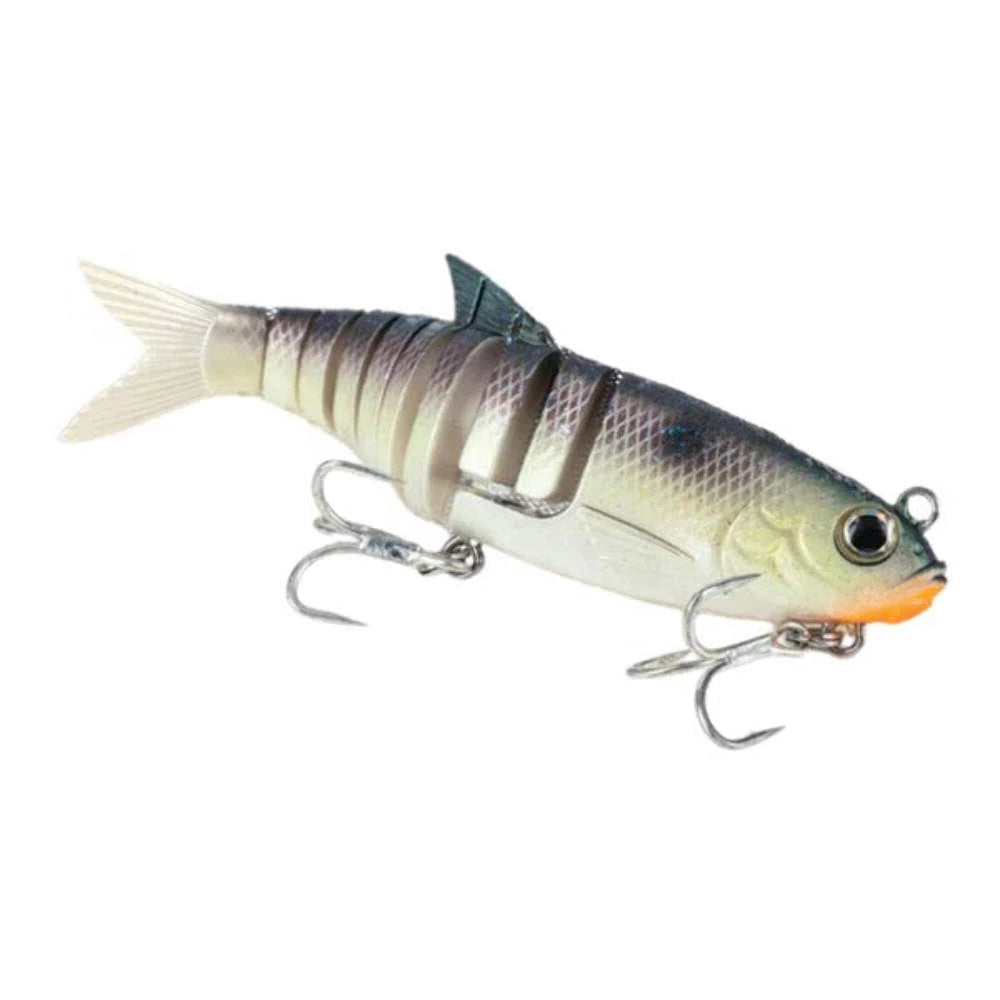 Molix Swim Shad 150 Lure