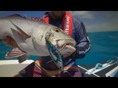Venom V-Line 8 Strand Braid 300M