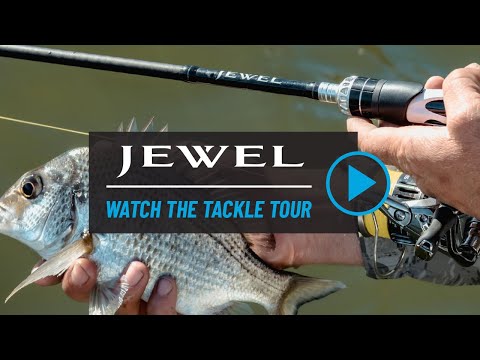Shimano Jewel Spin Rod
