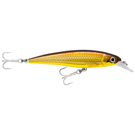Rapala X - Rap Xtreme Slashbait 12cm - SXR - 12 - Addict Tackle