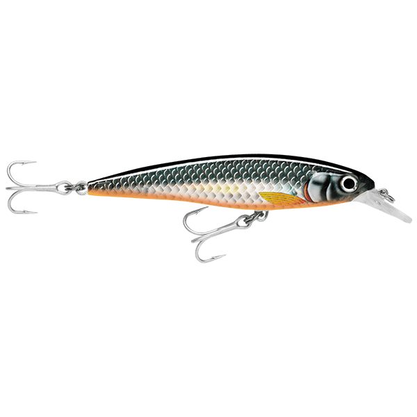 Rapala X - Rap Xtreme Slashbait 12cm - SXR - 12 - Addict Tackle