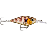 RAPALA X-LIGHT SHAD - FNS04
