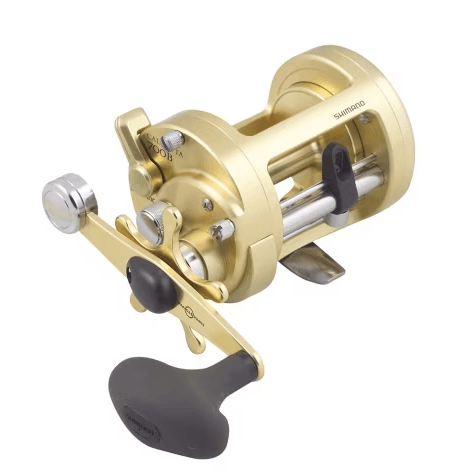 Shimano Calcutta Baitcast Reel - Addict Tackle