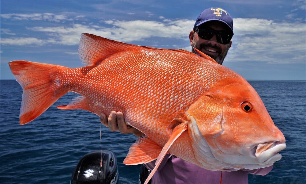 Venom 90X Slow Fall Jig Rod Spin