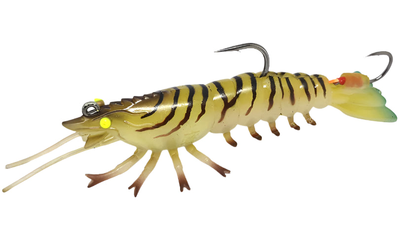 Barambah Stinger Shrimp 55F